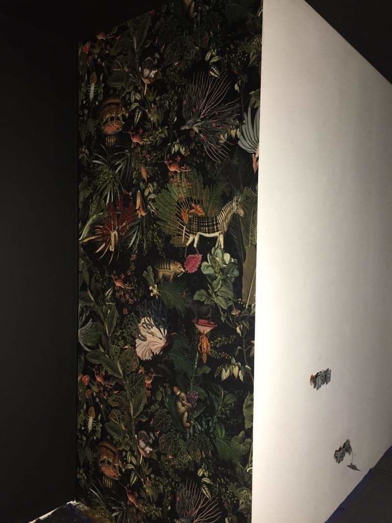 Remont korytarza i przedpokoju Lublin – wykończenia wnętrz